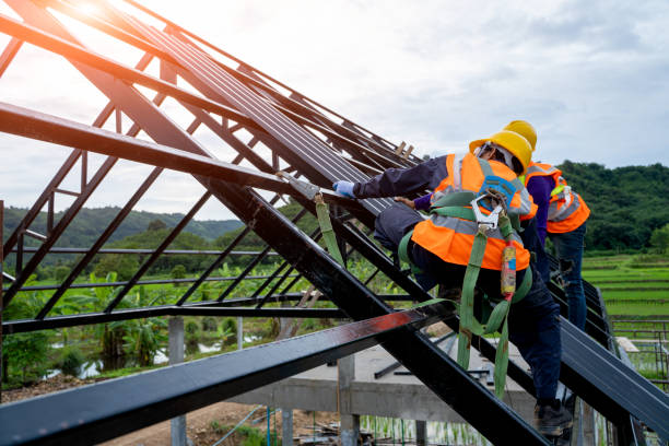 Best Roof Gutter Cleaning  in Taft Southwest, TX