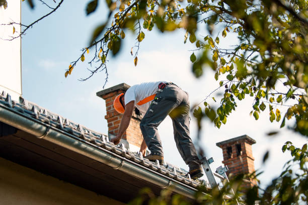 Quick and Trustworthy Emergency Roof Repair Services in Taft Southwest, TX