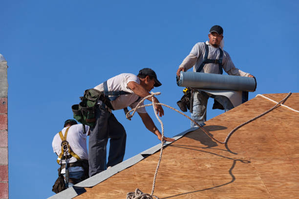 Best Storm Damage Roof Repair  in Taft Southwest, TX
